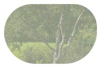 Miniature pho10